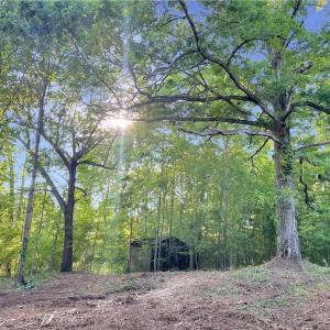 Photo #13 of 7612 Ridge, Tobaccoville, NC 6.7 acres