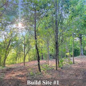 Photo #17 of 7612 Ridge, Tobaccoville, NC 6.7 acres