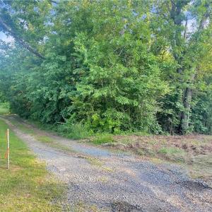 Photo #16 of 7612 Ridge, Tobaccoville, NC 6.7 acres
