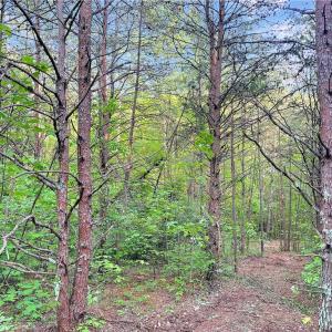 Photo #12 of 7612 Ridge, Tobaccoville, NC 6.7 acres