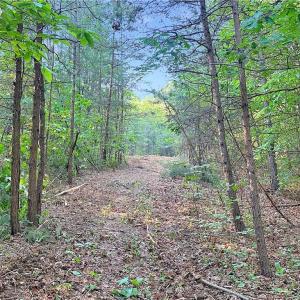 Photo #20 of 7612 Ridge, Tobaccoville, NC 6.7 acres