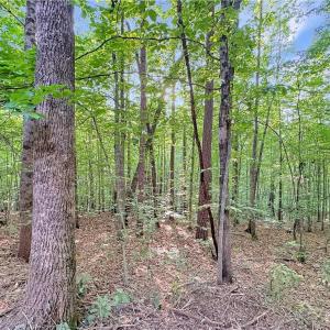 Photo #9 of 7612 Ridge, Tobaccoville, NC 6.7 acres