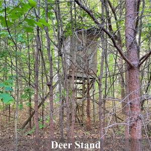 Photo #18 of 7612 Ridge, Tobaccoville, NC 6.7 acres