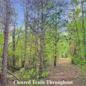 Photo #19 of 7612 Ridge, Tobaccoville, NC 6.7 acres