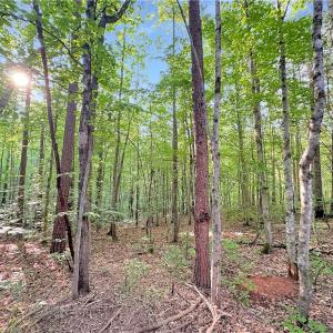 Photo #8 of 7612 Ridge, Tobaccoville, NC 6.7 acres