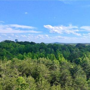 Photo #1 of Oak, Ramseur, NC 1.4 acres