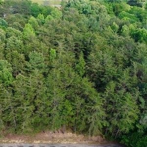 Photo #4 of Oak, Ramseur, NC 1.4 acres