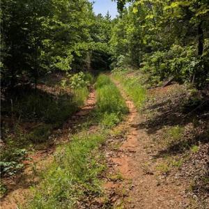 Photo #9 of Enterprise, Lexington, NC 57.7 acres