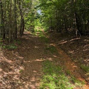 Photo #8 of Enterprise, Lexington, NC 57.7 acres