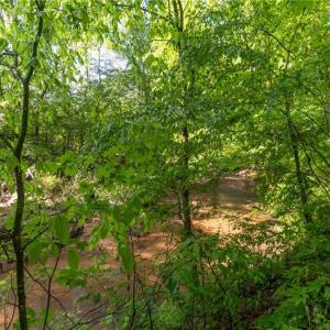 Photo #17 of Thayer, Trinity, NC 17.6 acres