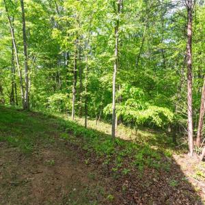 Photo #32 of Thayer, Trinity, NC 17.6 acres