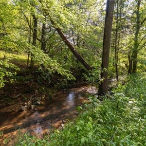 Photo #20 of Thayer, Trinity, NC 17.6 acres