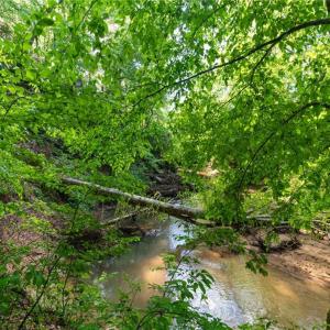 Photo #18 of Thayer, Trinity, NC 17.6 acres