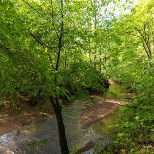 Photo #15 of Thayer, Trinity, NC 17.6 acres