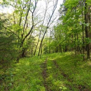Photo #19 of Thayer, Trinity, NC 17.6 acres