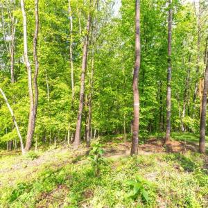 Photo #31 of Thayer, Trinity, NC 17.6 acres