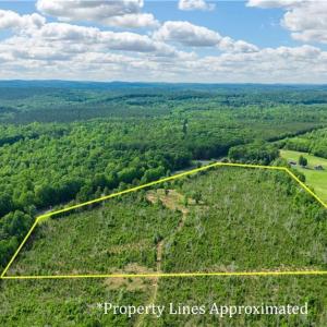 Photo #2 of NC Highway 134, Troy, NC 19.8 acres