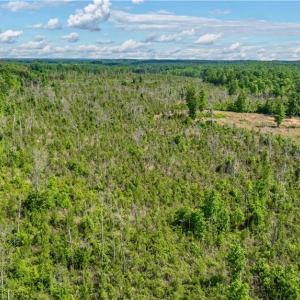 Photo #6 of NC Highway 134, Troy, NC 19.8 acres