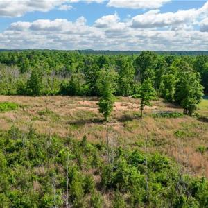 Photo #7 of NC Highway 134, Troy, NC 19.8 acres