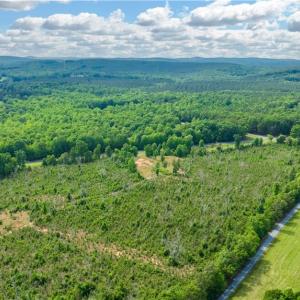 Photo #11 of NC Highway 134, Troy, NC 19.8 acres