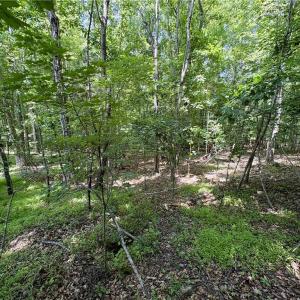 Photo #23 of 357 Pearman, Summerfield, NC 11.5 acres