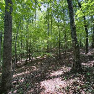 Photo #27 of 357 Pearman, Summerfield, NC 11.5 acres