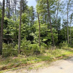 Photo #13 of 357 Pearman, Summerfield, NC 11.5 acres