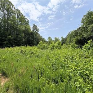 Photo #17 of 357 Pearman, Summerfield, NC 11.5 acres