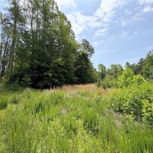 Photo #16 of 357 Pearman, Summerfield, NC 11.5 acres