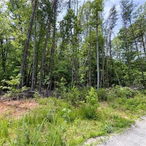 Photo #12 of 357 Pearman, Summerfield, NC 11.5 acres