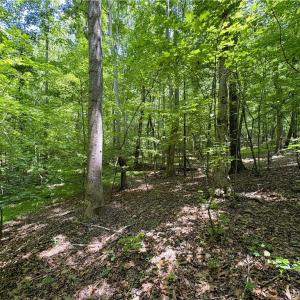 Photo #26 of 357 Pearman, Summerfield, NC 11.5 acres