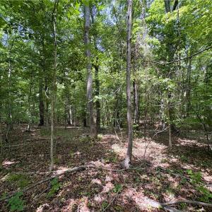 Photo #22 of 357 Pearman, Summerfield, NC 11.5 acres