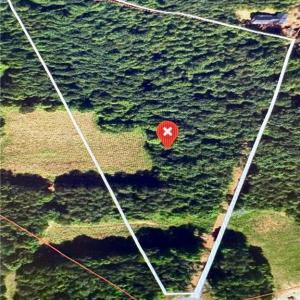 Photo #1 of 357 Pearman, Summerfield, NC 11.5 acres