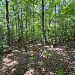 Photo #28 of 357 Pearman, Summerfield, NC 11.5 acres