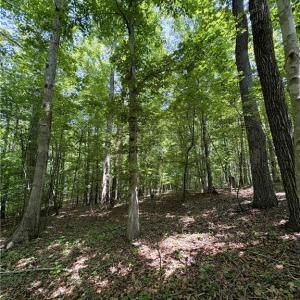 Photo #24 of 357 Pearman, Summerfield, NC 11.5 acres