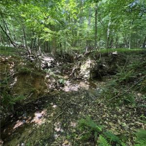 Photo #30 of 357 Pearman, Summerfield, NC 11.5 acres