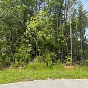 Photo #10 of 357 Pearman, Summerfield, NC 11.5 acres