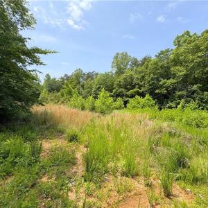 Photo #14 of 357 Pearman, Summerfield, NC 11.5 acres