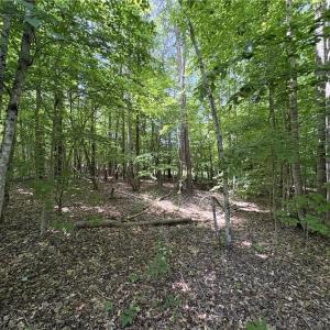 Photo #18 of 357 Pearman, Summerfield, NC 11.5 acres