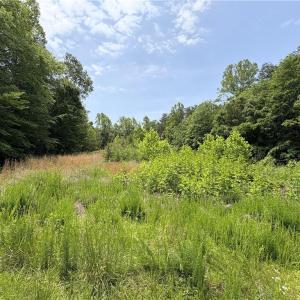 Photo #15 of 357 Pearman, Summerfield, NC 11.5 acres