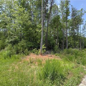 Photo #11 of 357 Pearman, Summerfield, NC 11.5 acres