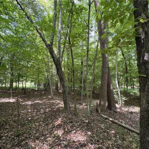 Photo #19 of 357 Pearman, Summerfield, NC 11.5 acres