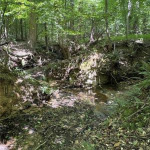 Photo #31 of 357 Pearman, Summerfield, NC 11.5 acres