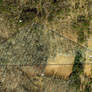 Photo #4 of 357 Pearman, Summerfield, NC 11.5 acres
