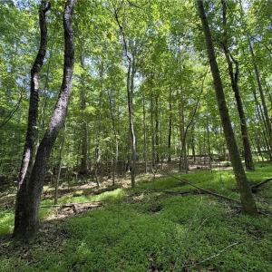 Photo #25 of 357 Pearman, Summerfield, NC 11.5 acres