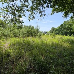 Photo #21 of 357 Pearman, Summerfield, NC 11.5 acres