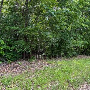 Photo #12 of 144 Jones, Winston-Salem, NC 1.9 acres