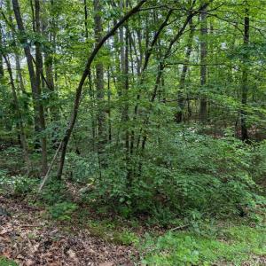 Photo #32 of 144 Jones, Winston-Salem, NC 1.9 acres