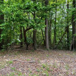 Photo #28 of 144 Jones, Winston-Salem, NC 1.9 acres