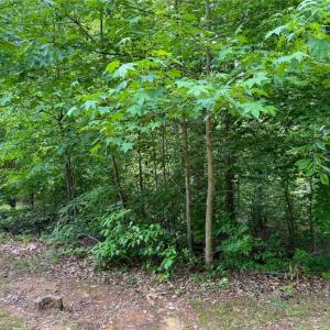 Photo #24 of 144 Jones, Winston-Salem, NC 1.9 acres